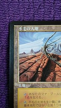 MTG 不毛の大地/Wasteland 日4 不毛の大地/Wasteland》[EMA] 土地R