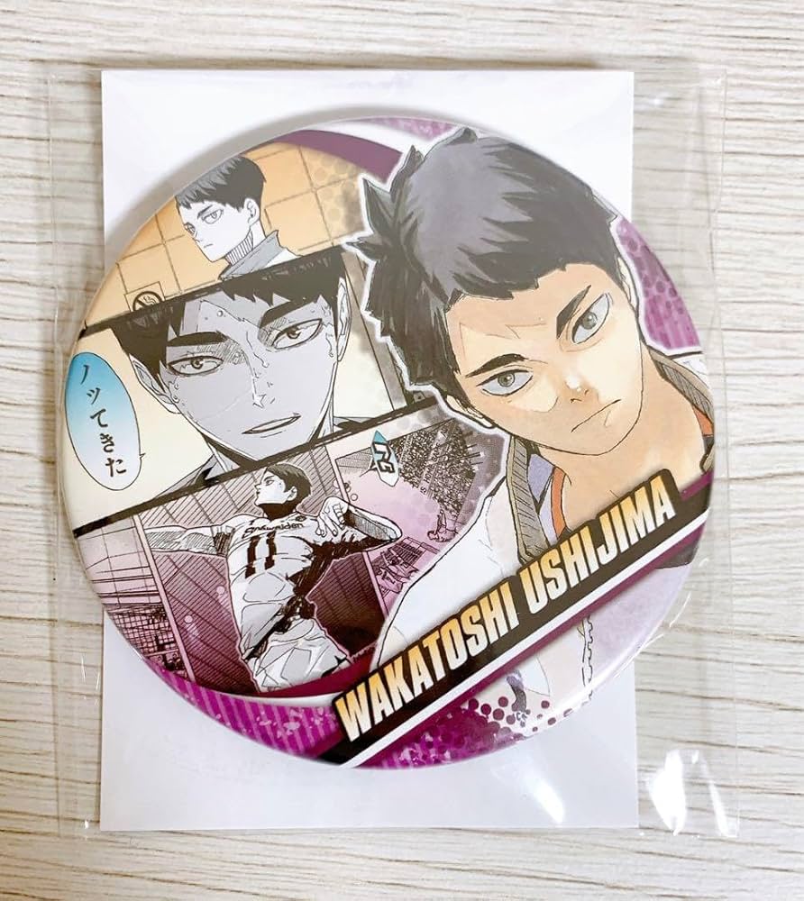 ハイキュー オールスター缶バッジ 牛島若利 24点セット ハイキュー