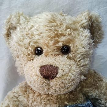 Amazon.co.jp: くまのぬいぐるみ（洋服靴付き）ビルドアベア（Build-A