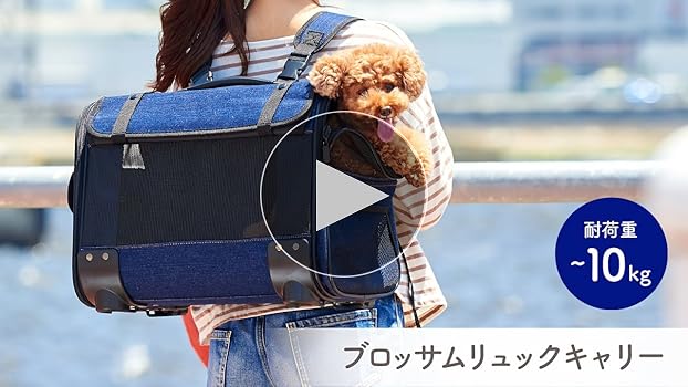 Amazon.co.jp: オーエフティー ブロッサムリュックキャリーデニム M