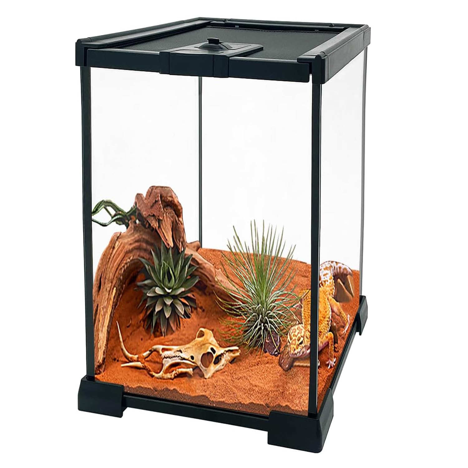 Amazon | Wallfire 爬虫類 ケージ レオパ ケージ 透明 トカゲ ケージ