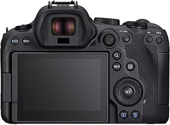 Amazon.com : Canon EOS R6 Mark II Camera Professional Photo Bundle