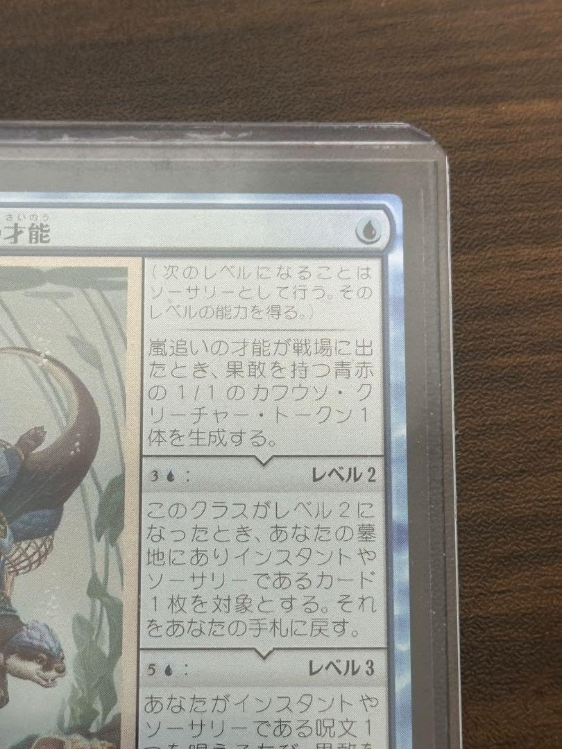 MTG 嵐追いの才能(英語版) 4枚 MTG 嵐追いの才能 英語版 4枚セット MTG