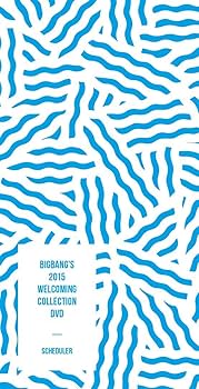 Amazon.com: BIGBANG'S 2015 WELCOMING COLLECTION DVD : Movies & TV