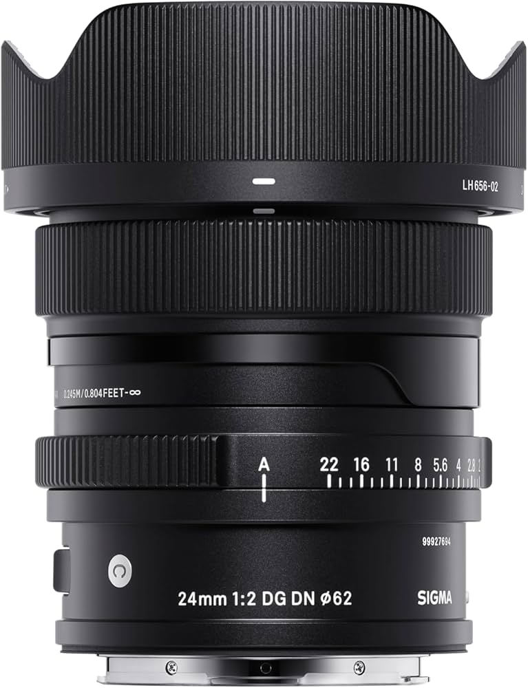 Amazon.com : 24mm F2 DG DN for Sony E : Electronics
