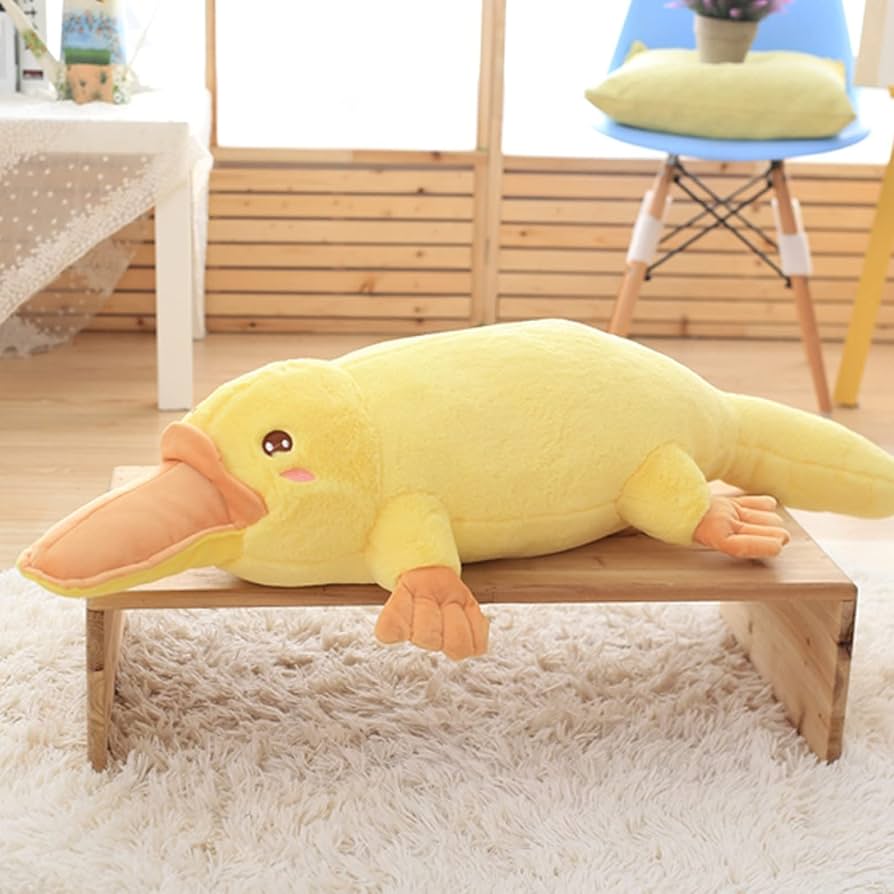 Amazon.co.jp: [XLOYP] ぬいぐるみ 特大 カモノハシ 動物 60cm 可愛い