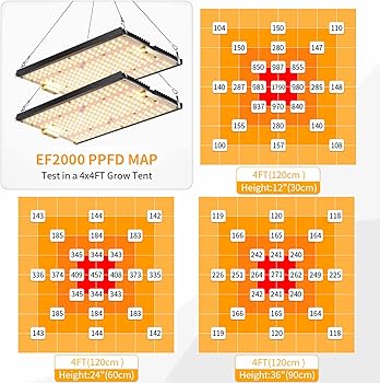 Amazon.com : EnFun Grow Light EF-2000,Full Spectrum LED Grow Light