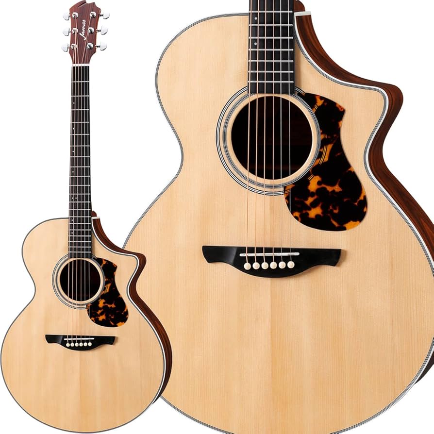 ☆稀少☆美品☆ James エレアコ JD600ENAS アコースティックギター