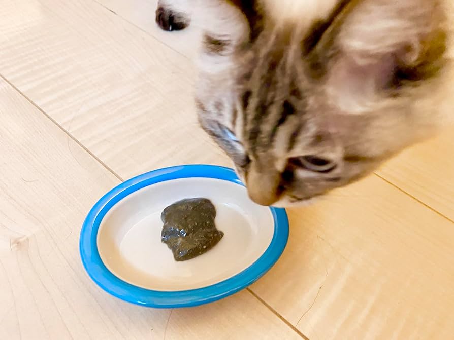 Amazon.co.jp: 【公式】neco-ri (ねこり) 獣医師と共同開発した健康