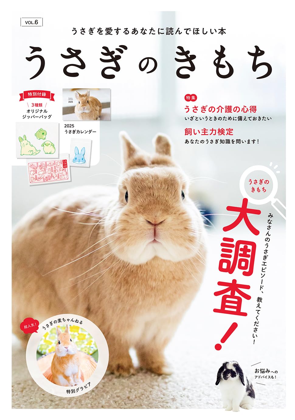 Amazon.co.jp: うさぎのきもちVOL.6 ([バラエティ]) : 東京書店: 本