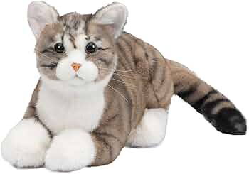 71-nZfgwtKL._AC_UF350,