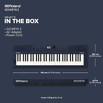 Amazon.com: Roland GO:KEYS 3 Music Creation Keyboard | 61-Note
