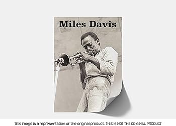 Amazon.co.jp: ピラミッドアメリカ マイルス・デイビス ポスター - (24