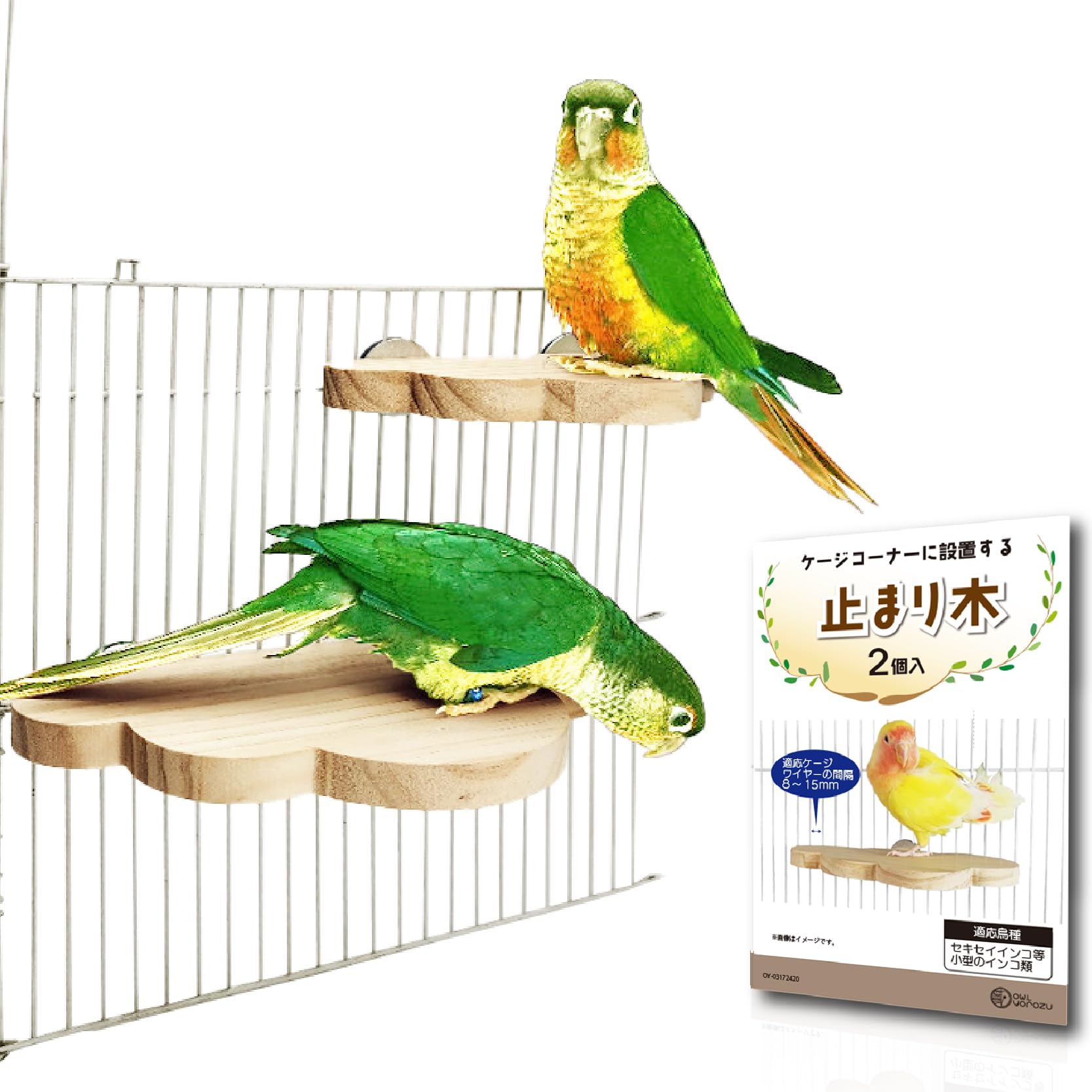 maona 鳥用品 止まり木 カクタス スケルトン パーチ 2本おまとめ maona