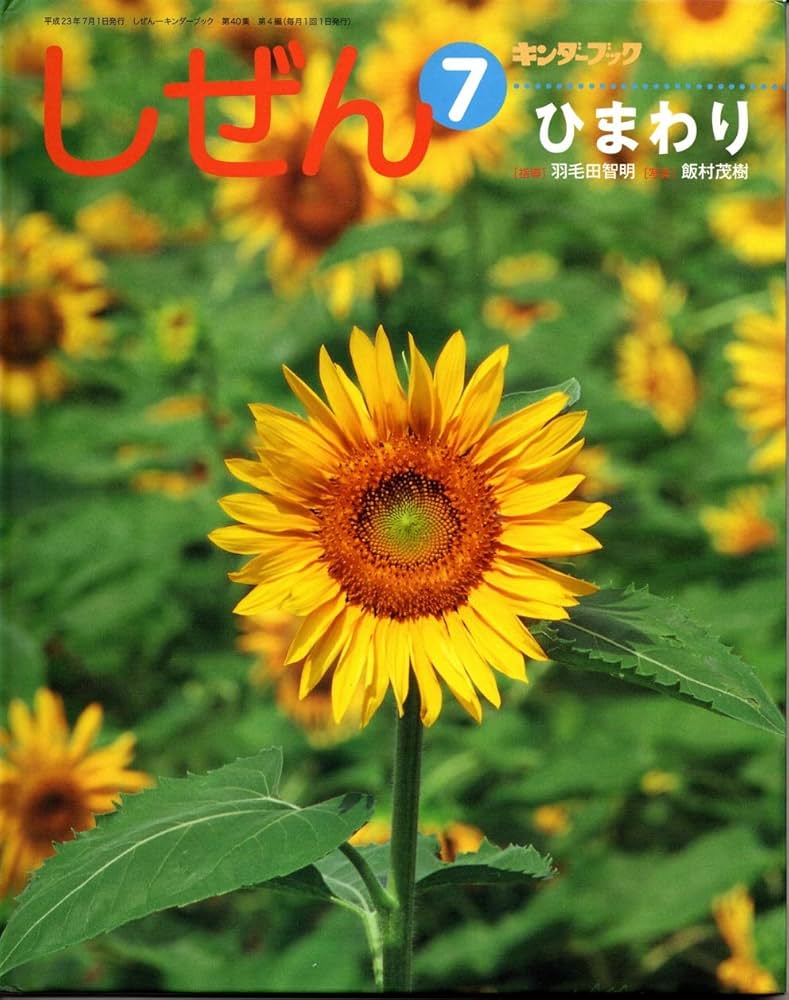 しぜん － キンダーブック 7 ひまわり | フレーベル館 |本 | 通販