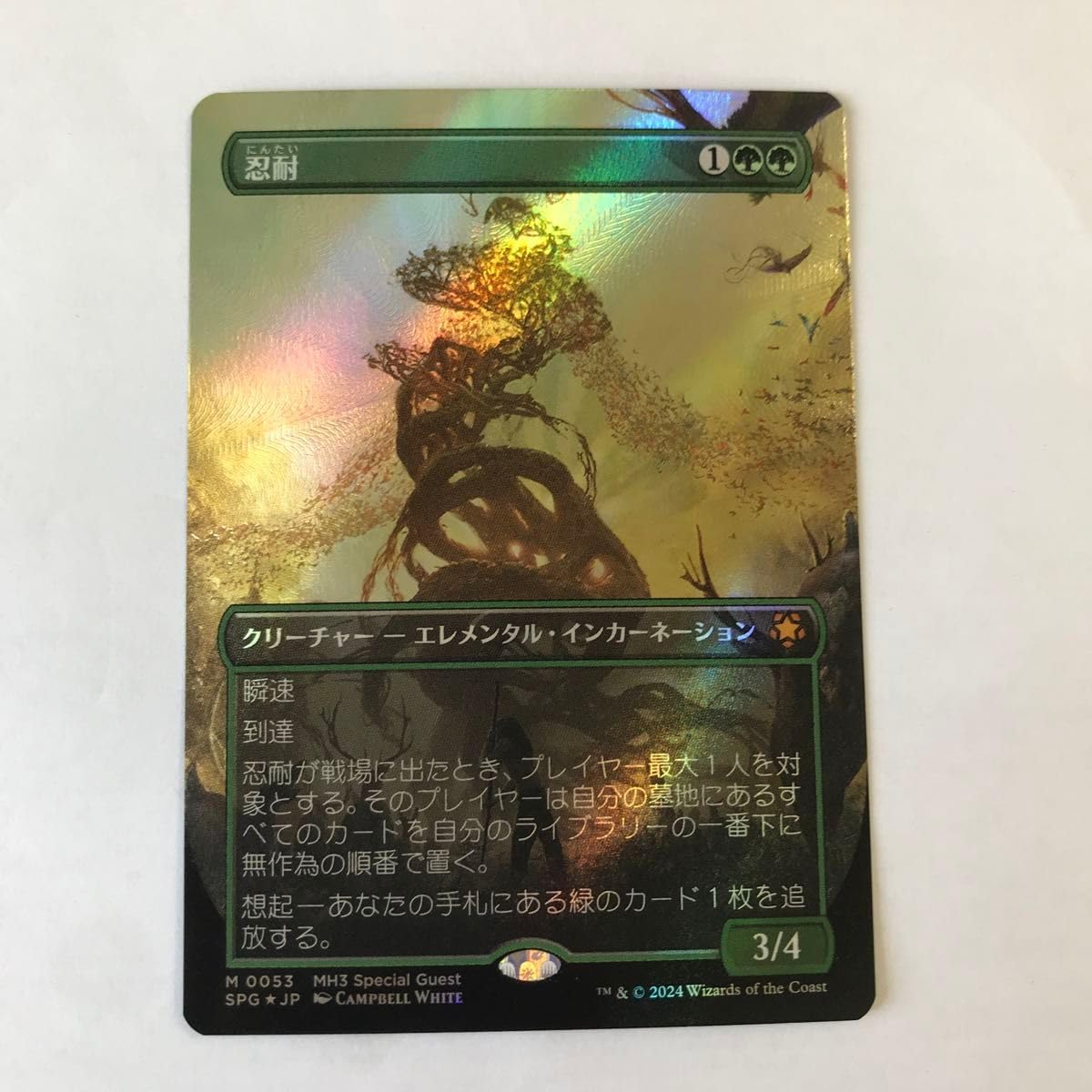 MTG 日本語 育成泥炭地 foil モダンホライゾン MTG 日本語 育成泥炭地