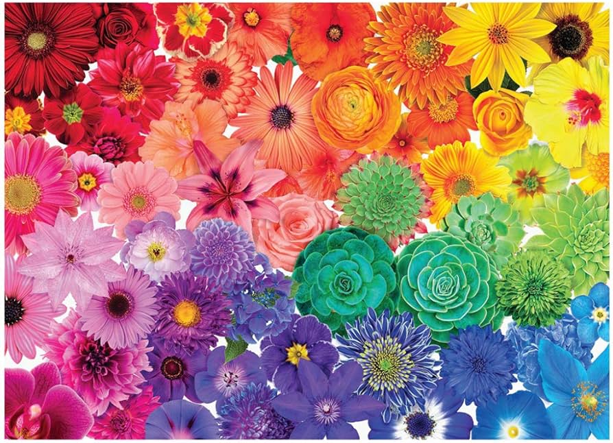 Amazon.co.jp: 大人のための1000ピースの高難易度ジグソーパズル、虹の