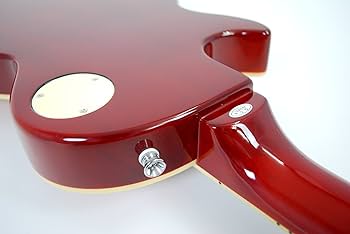 Amazon.co.jp: PhotoGenic エレキギター LPタイプ LP-260/CS チェリー