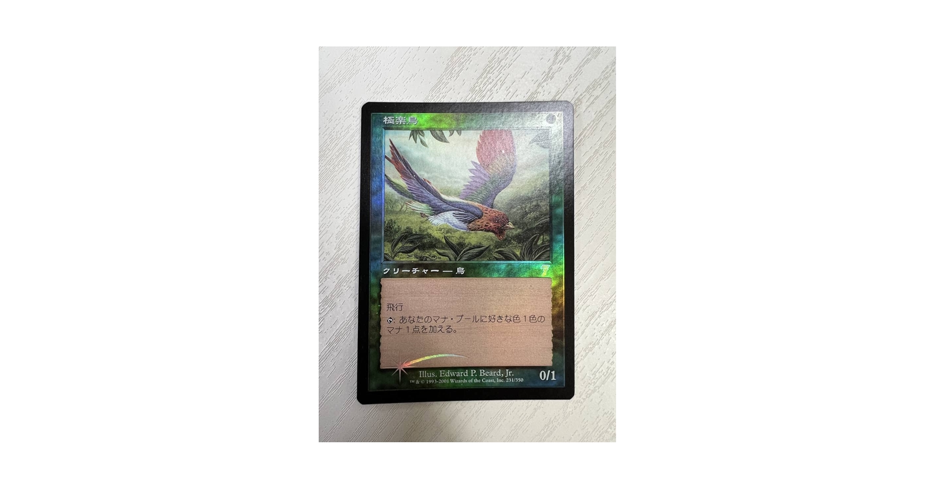 MTG RAV 極楽鳥 ロシア語版 foil MTG RAV 極楽鳥 ロシア語版 foil MTG RAV