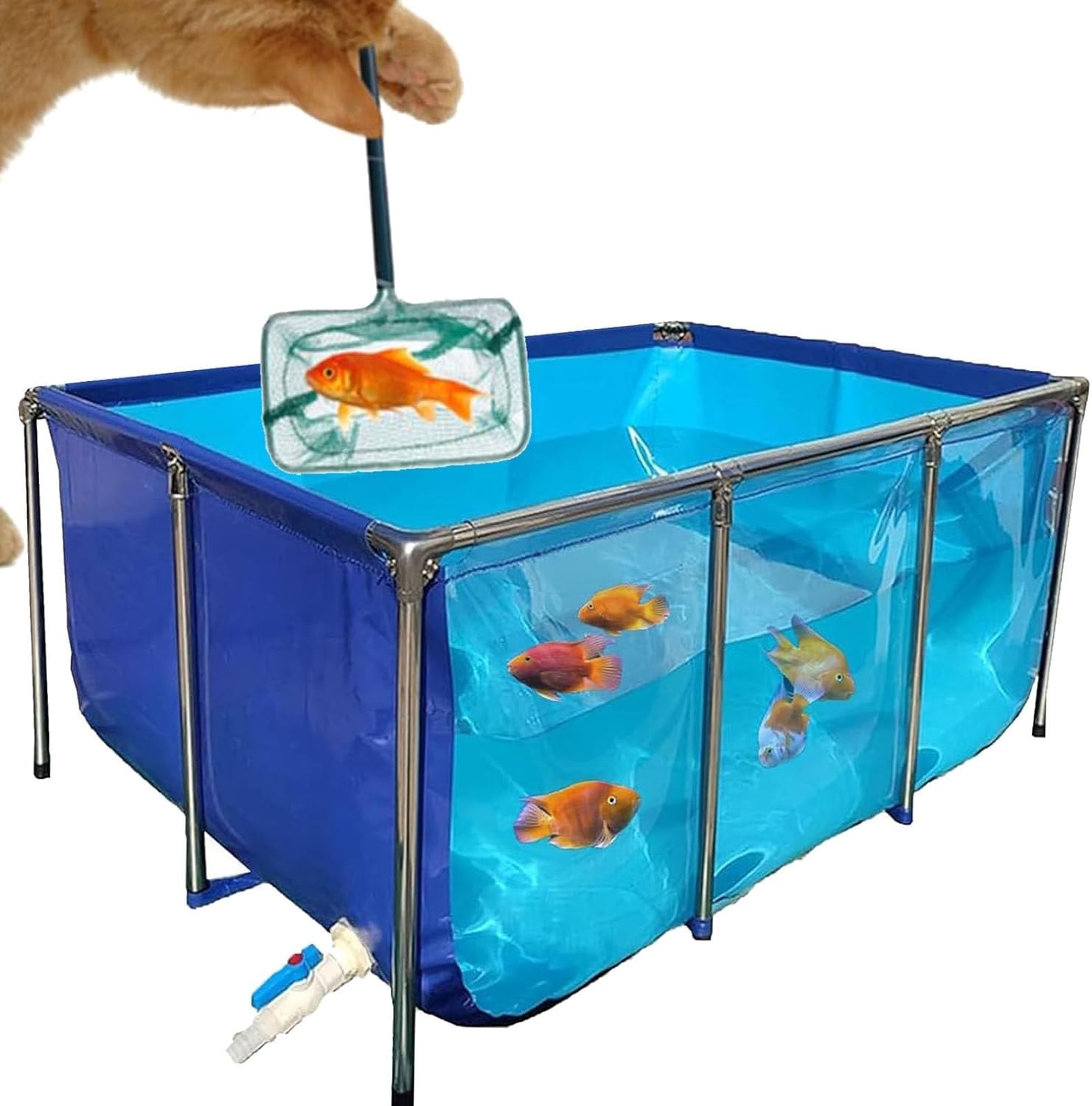 PVCキャンバス魚のいる池 鉄骨フレーム付き、 養殖鯉 表示 組み立てる