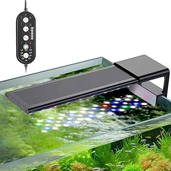 71235mBkbXL._AC_UF350,