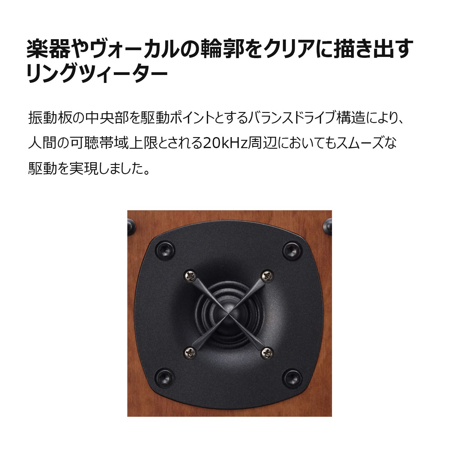 Amazon.co.jp: オンキョー 2ウェイ・スピーカーシステム D-012EXT(D