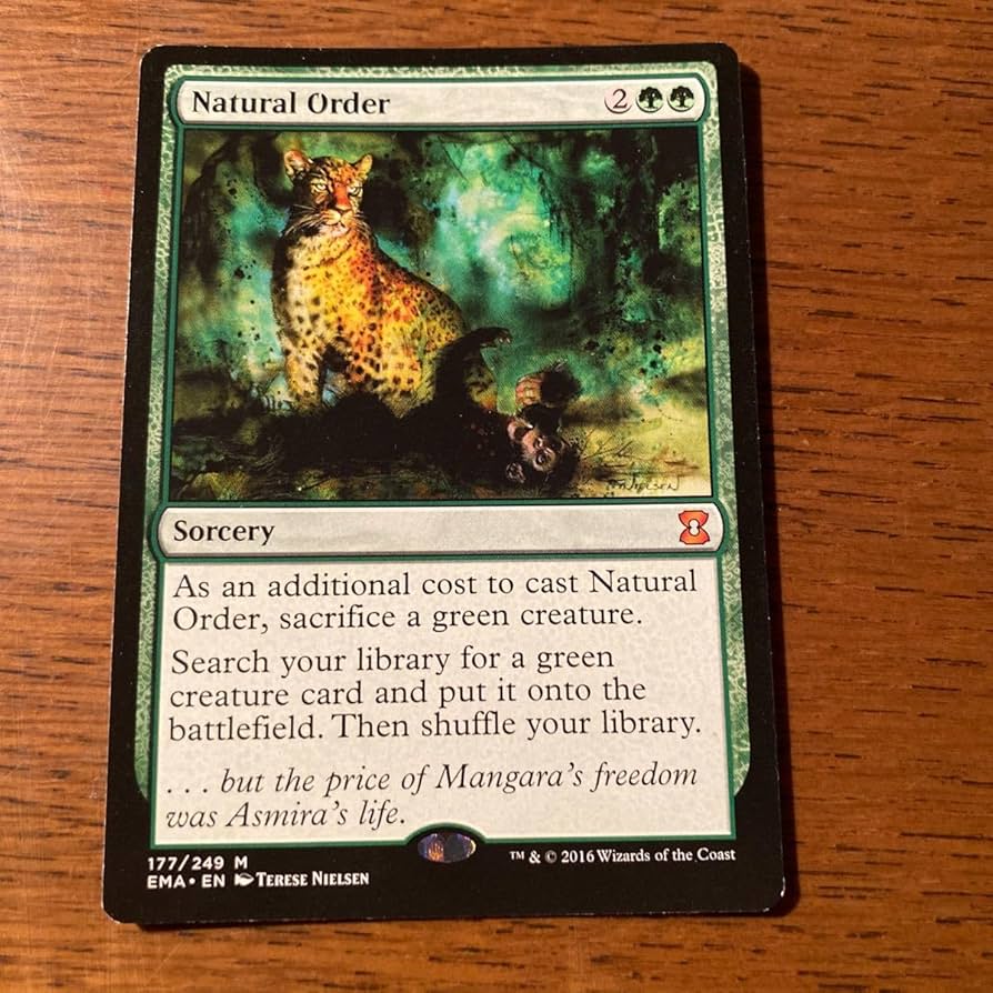 自然の秩序 英語 EMA foil 自然の秩序 英語 EMA foil ミントモール