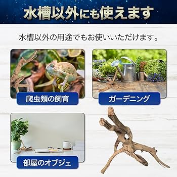 Amazon.co.jp: [AiO JAPAN] 【1個】Sサイズ 形状お任せタイプ