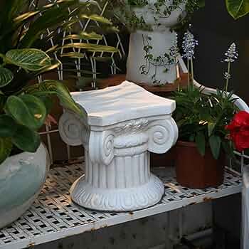 712ZqcFyoKL._AC_UF350,