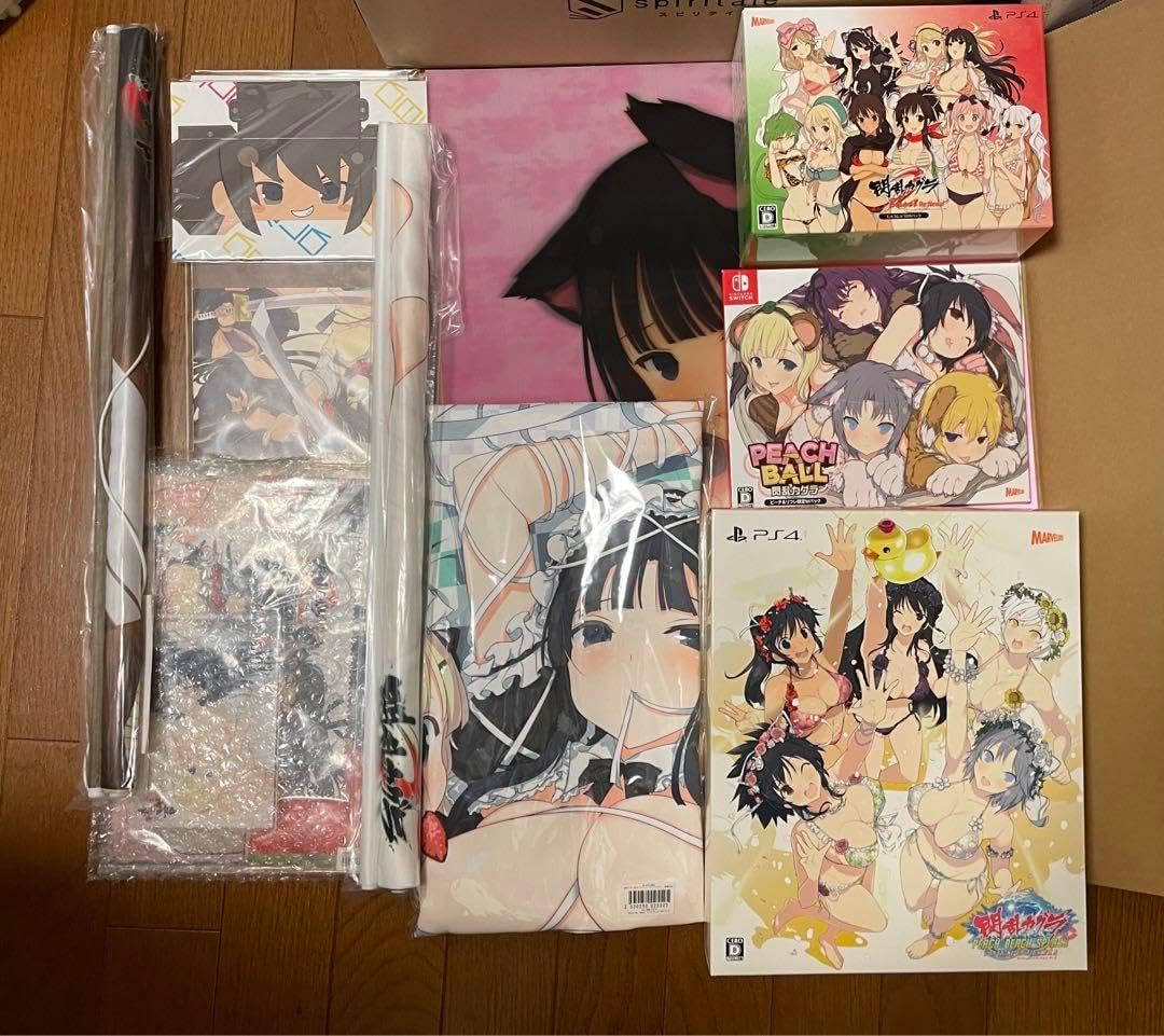 き*ん様 プリズムコネクト 閃乱カグラ スリーブ ストレイジセット 閃乱