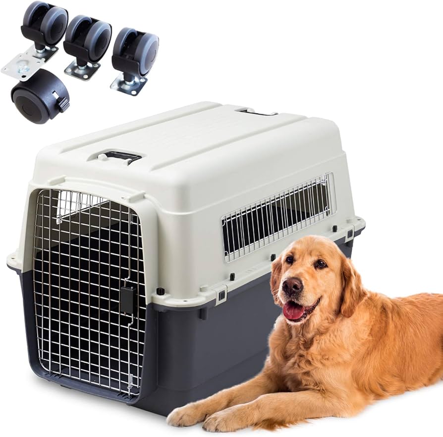 Amazon | オーエフティー 【OFT】ペットケンネル・ファーストクラス