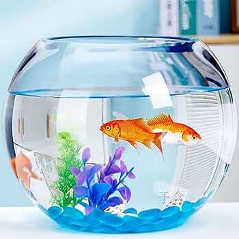 713MEJRHZHL._AC_UF350,