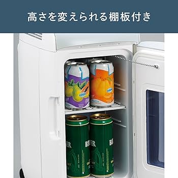 Amazon.co.jp: TWINBIRD 2電源式ポータブル電子適温ボックス D-CUBE L