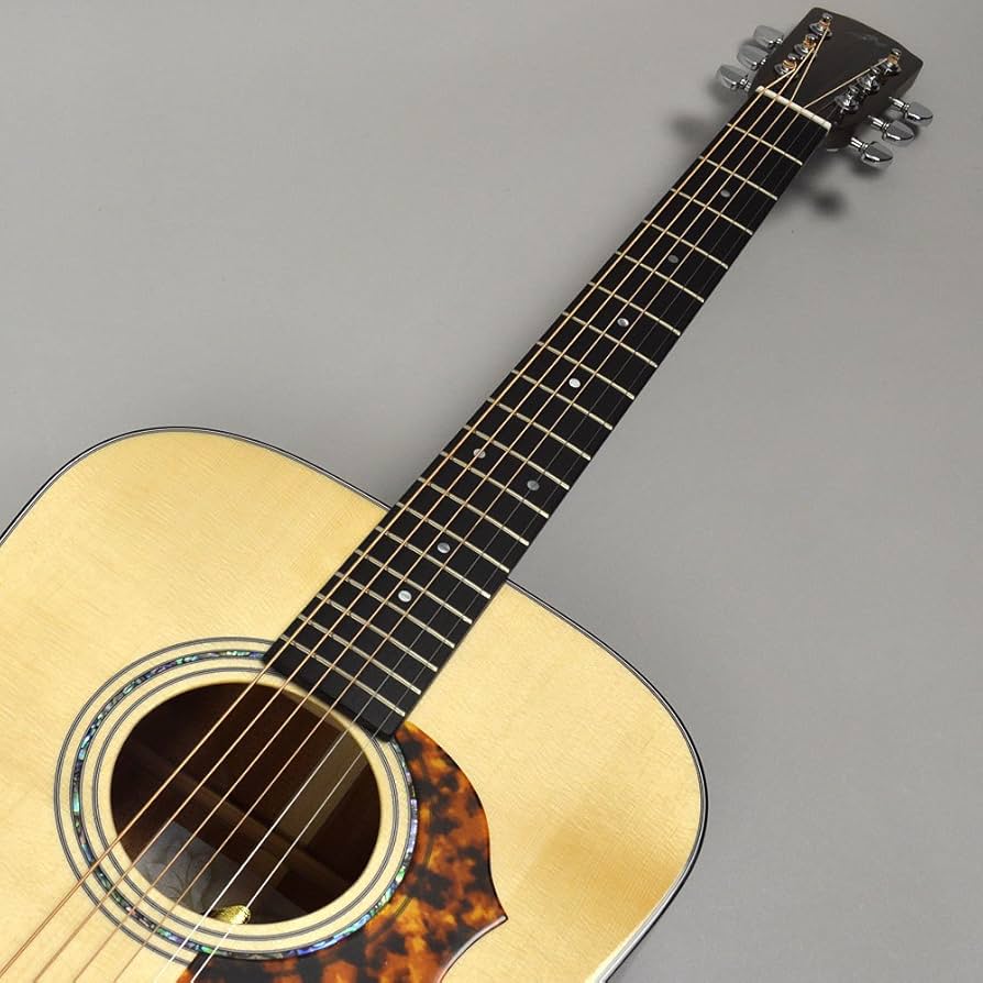 Amazon.co.jp: MORRIS M-80 II アコースティックギター 国産 (モーリス