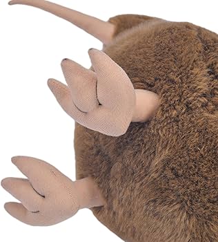 71tAnb9akcL._AC_UF350,