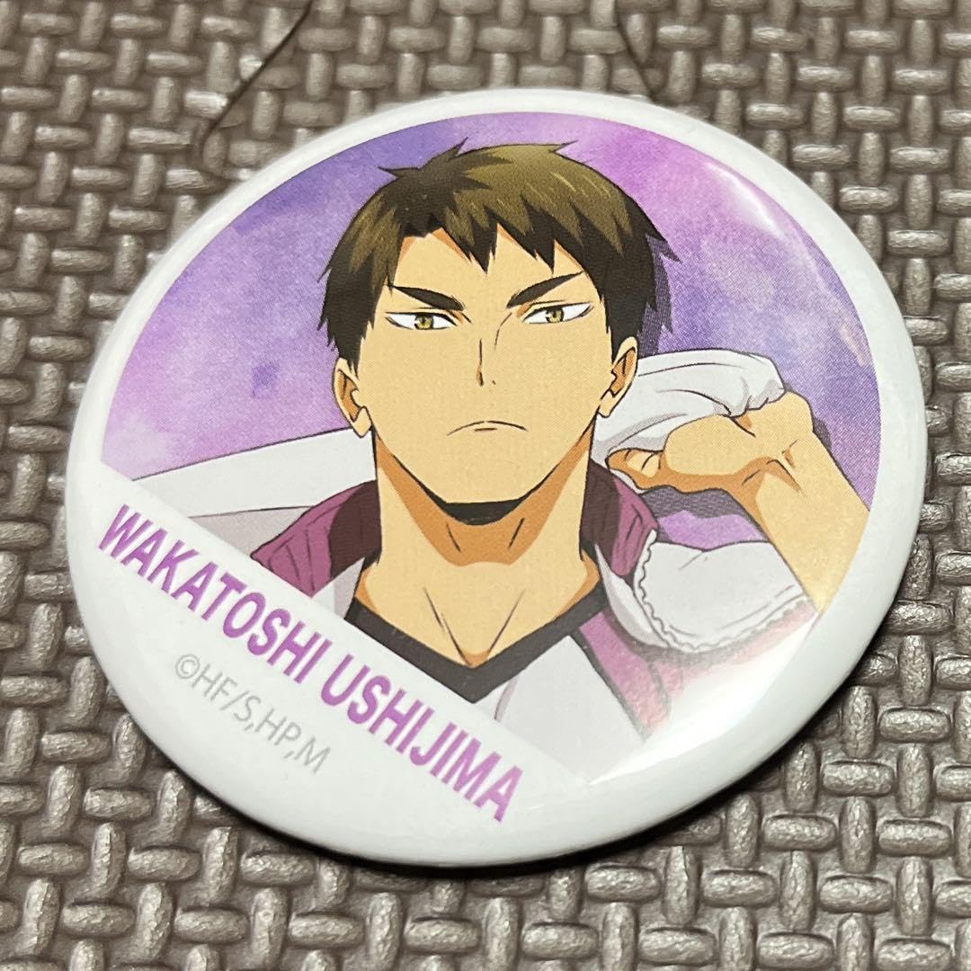 ハイキュー オールスター缶バッジ 牛島若利 24点セット ハイキュー