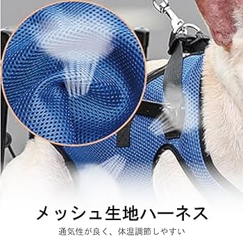 Amazon.co.jp: MIKEART 犬用車椅子 4輪 歩行器 小型犬 中型犬 全身