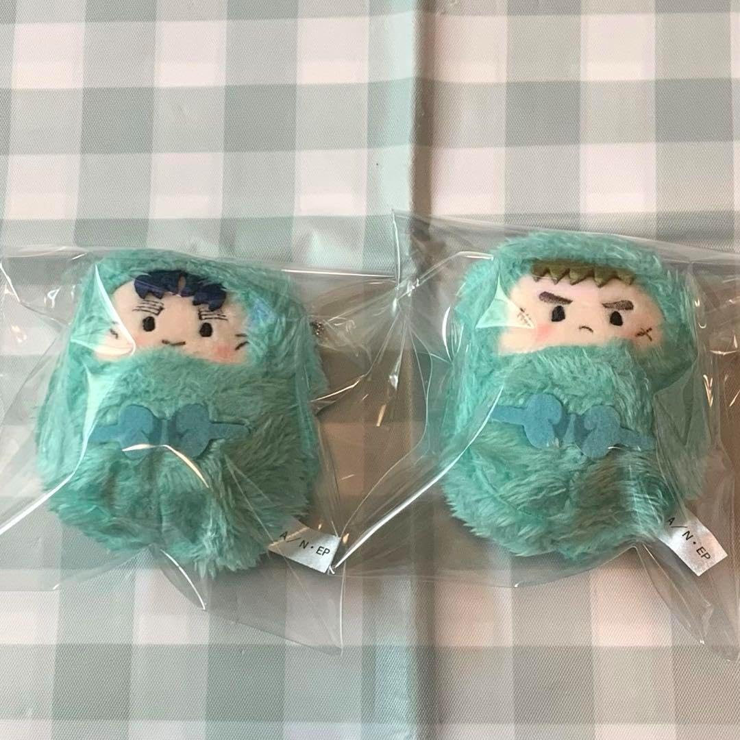 タグ付き！ポケモンセンター 沖縄限定 ウインディポンチョのイーブイ 2