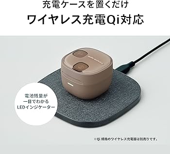 Amazon.co.jp: オーディオテクニカ ATH-SQ1TW2 NRD ワイヤレスイヤホン