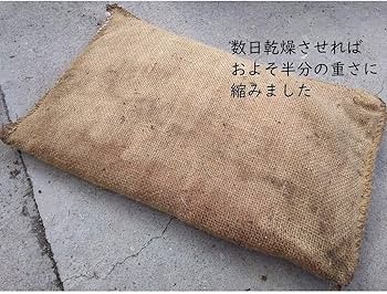 Amazon.co.jp: 吸水性土のう 水だけでふくらむ土を使わない 台風、大雨