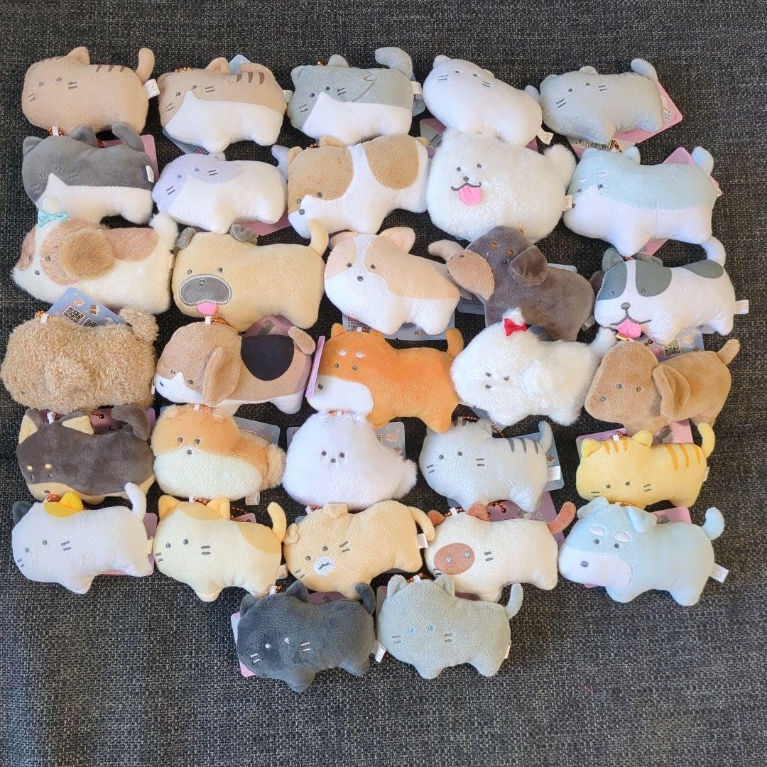 つぶらな瞳の動物園 つぶらな瞳の犬と猫 3点セット つぶらな瞳の犬と猫