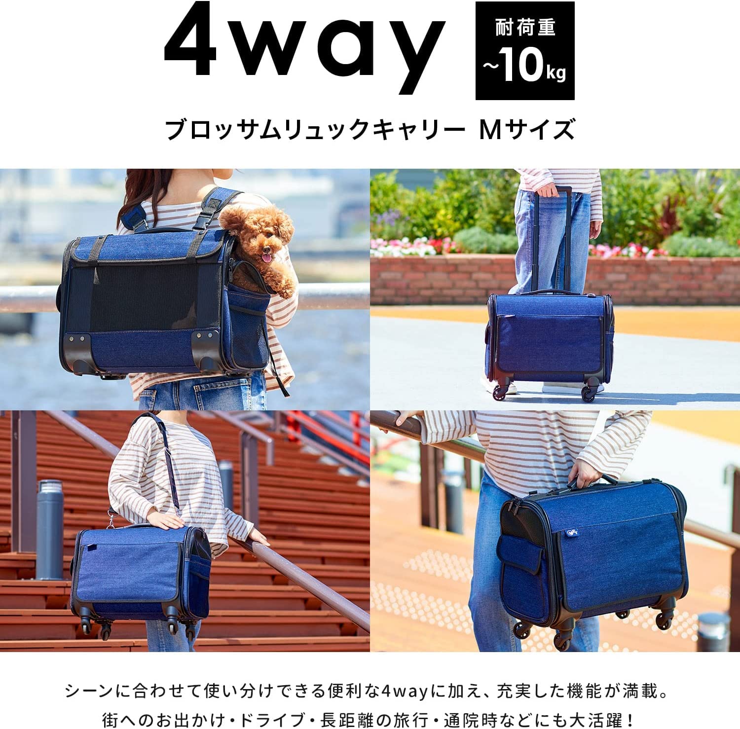 Amazon.co.jp: 【OFT】 ブロッサムリュックキャリー デニム M 犬 小型