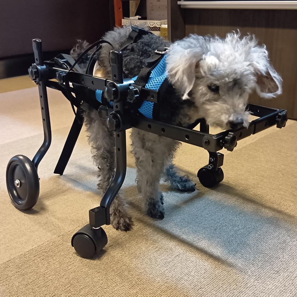Amazon.co.jp: MIKEART 犬用車椅子 4輪 歩行器 車いす 車いす 後ろ足
