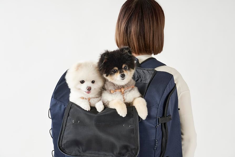 エアバギーリュックバックパックAIRBUGGY WIDEクールグレーAD9074