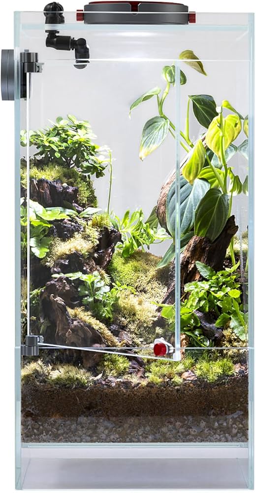 Amazon.co.jp: LEDSTAR インフィニティ ハイラエア テラリウム