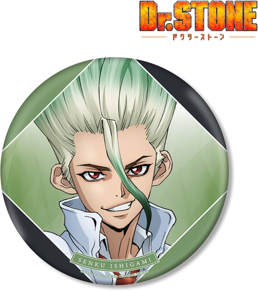 Amazon.co.jp: Dr.STONE 描き下ろしイラスト 石神千空 石化前ver. BIG