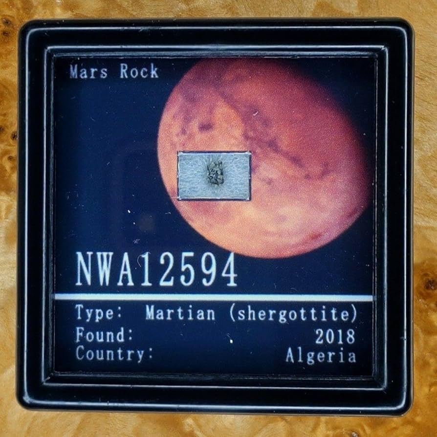 新品！火星の石！シャーッゴッタイト NWA 12594 隕石 標本 【公式通販】