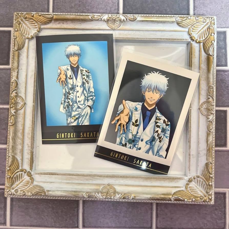 坂田銀時 銀魂 ぱしゃこれ PREMIUM ホスト 【公式通販】