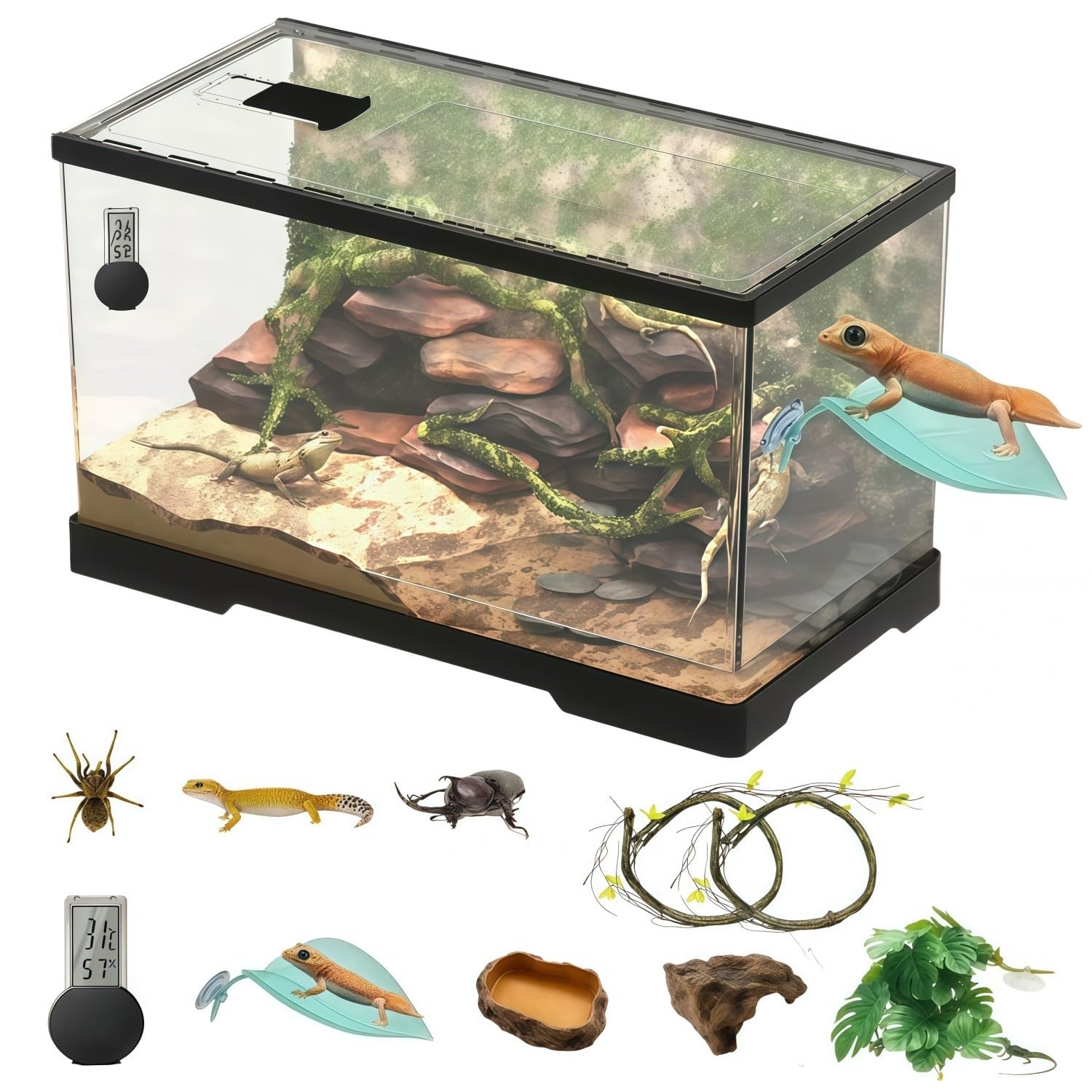 Amazon | 大型60cmレオパ ケージ 爬虫類 ケース ヒョウモン