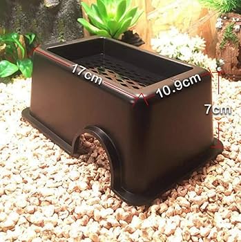 Amazon | heizi ウェットシェルター 爬虫類 シェルター 2個セット